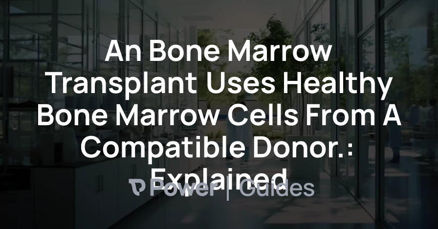 Header Image for An Bone Marrow Transplant Uses Healthy Bone Marrow Cells From A Compatible Donor.: Explained