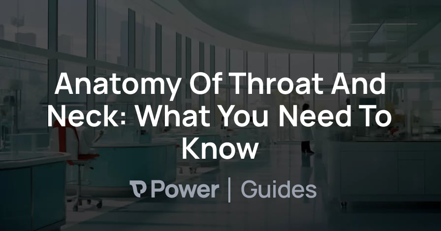 Header Image for Anatomy Of Throat And Neck: What You Need To Know