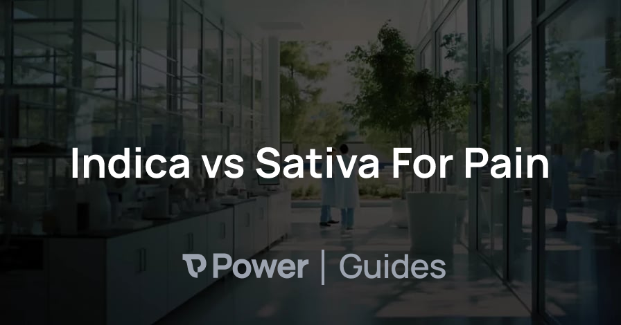 Header Image for Indica vs Sativa For Pain