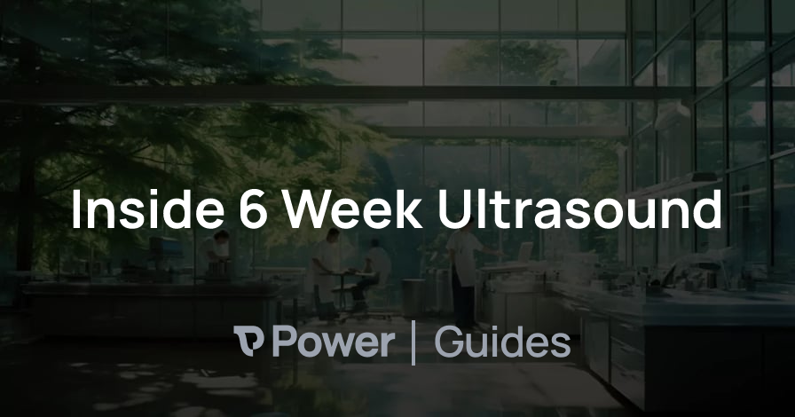 Header Image for Inside 6 Week Ultrasound