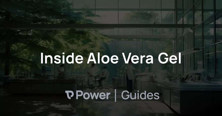 Header Image for Inside Aloe Vera Gel