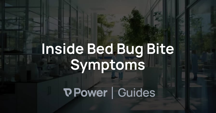 Header Image for Inside Bed Bug Bite Symptoms