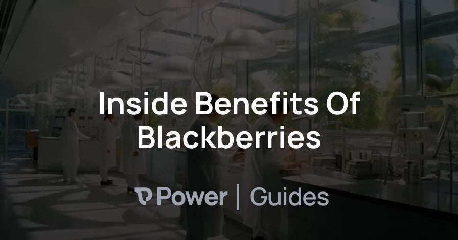 Header Image for Inside Benefits Of Blackberries