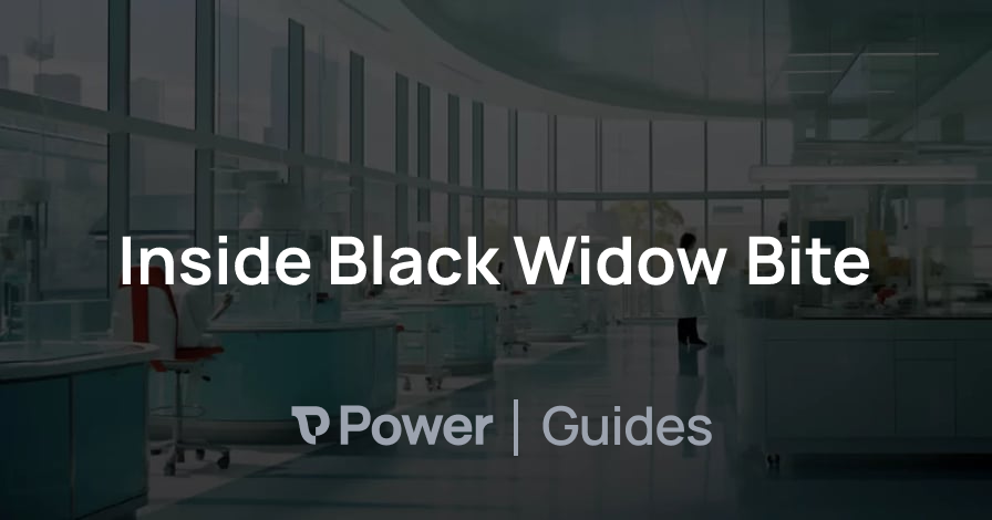 Header Image for Inside Black Widow Bite