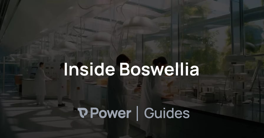 Header Image for Inside Boswellia