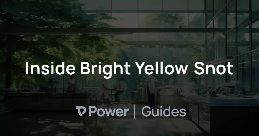 Header Image for Inside Bright Yellow Snot