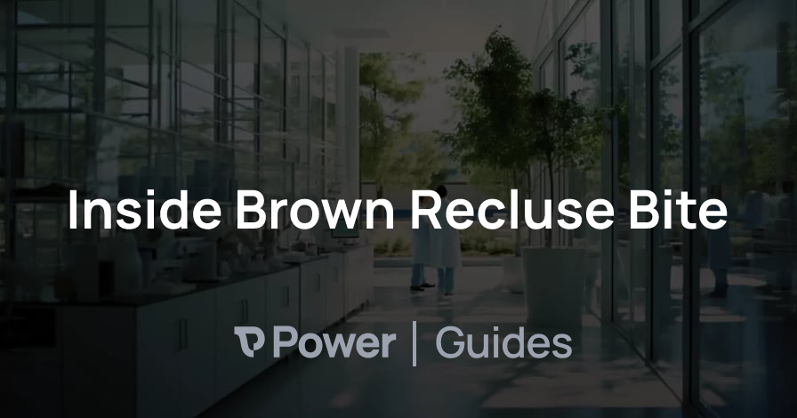 Header Image for Inside Brown Recluse Bite