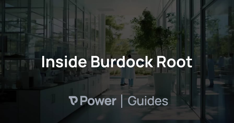 Header Image for Inside Burdock Root