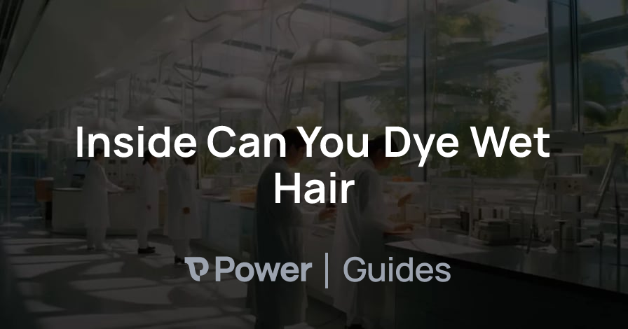Header Image for Inside Can You Dye Wet Hair