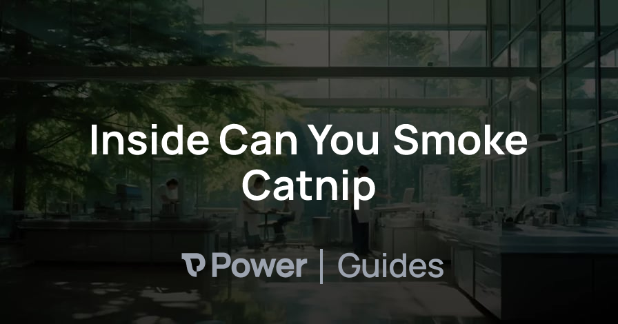 Header Image for Inside Can You Smoke Catnip