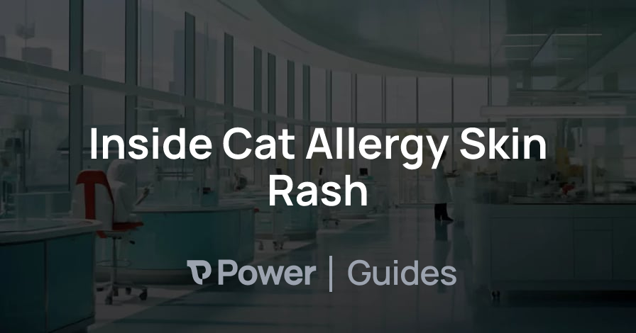 Header Image for Inside Cat Allergy Skin Rash