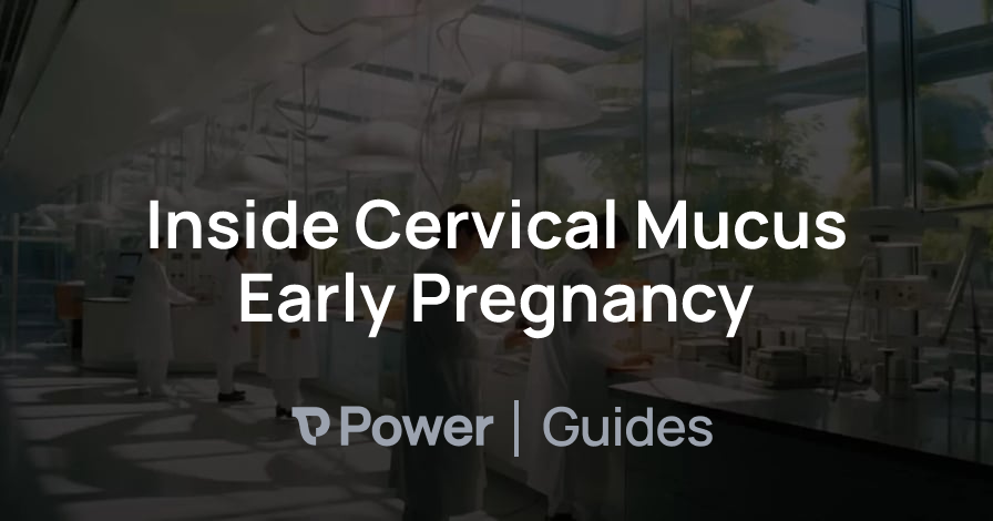 Header Image for Inside Cervical Mucus Early Pregnancy