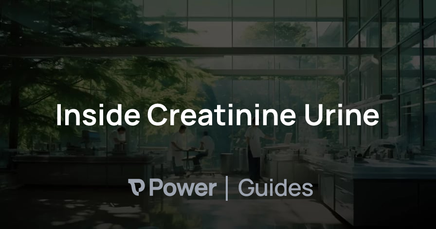 Header Image for Inside Creatinine Urine