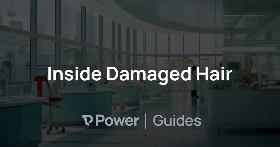 Header Image for Inside Damaged Hair