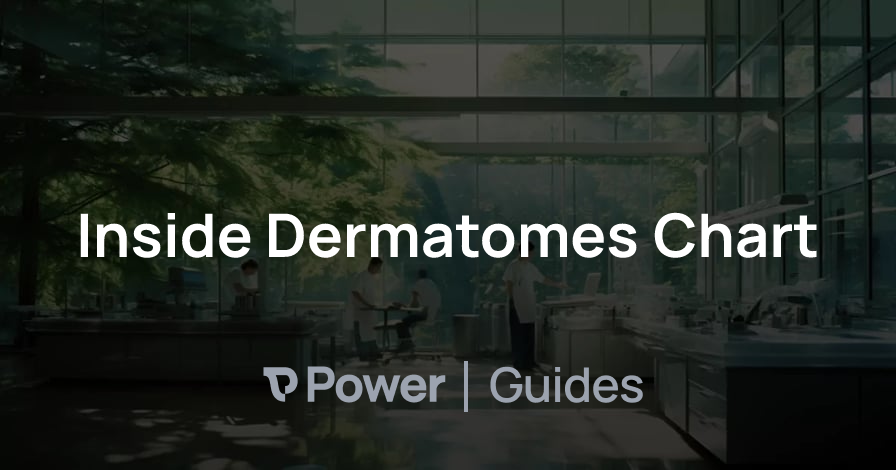 Header Image for Inside Dermatomes Chart