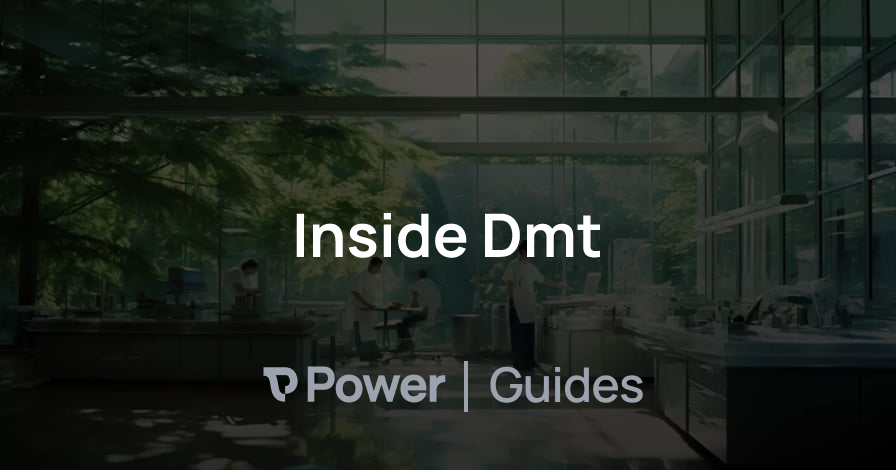 Header Image for Inside Dmt