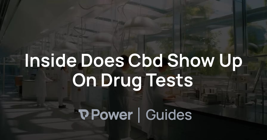 Header Image for Inside Does Cbd Show Up On Drug Tests