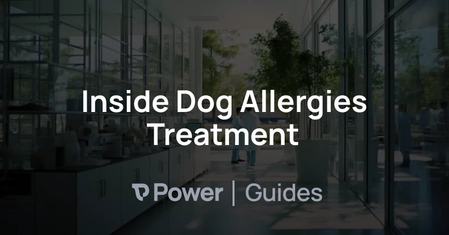 Header Image for Inside Dog Allergies Treatment