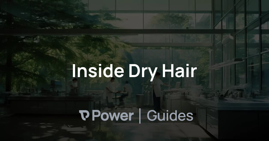 Header Image for Inside Dry Hair