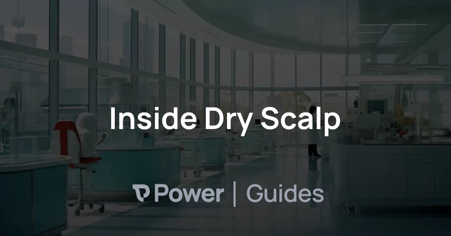 Header Image for Inside Dry Scalp