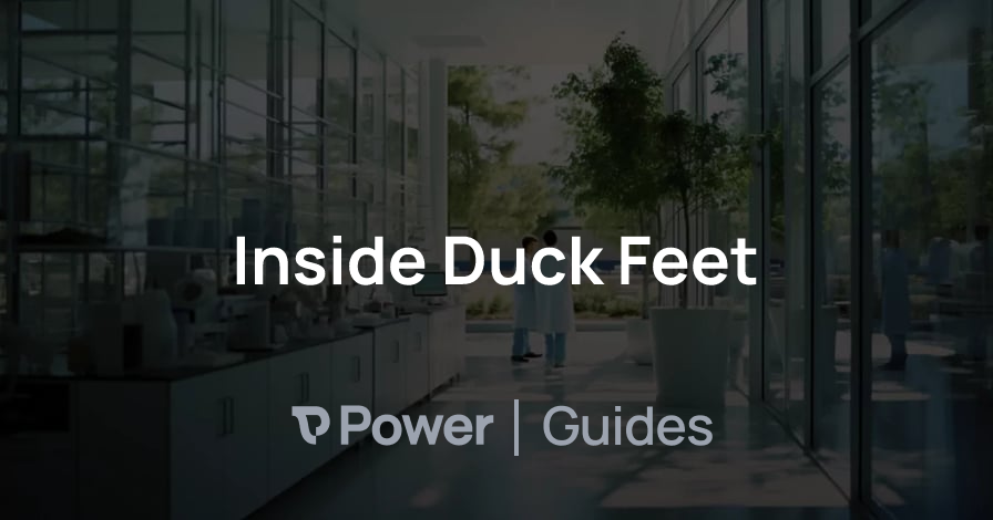 Header Image for Inside Duck Feet