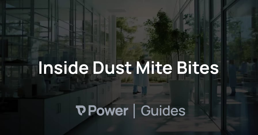 Header Image for Inside Dust Mite Bites