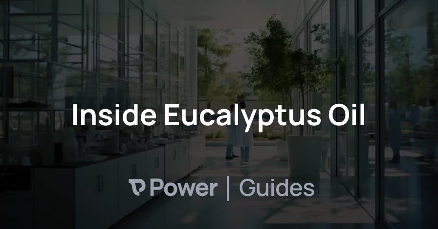 Header Image for Inside Eucalyptus Oil