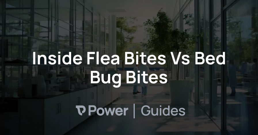 Header Image for Inside Flea Bites Vs Bed Bug Bites