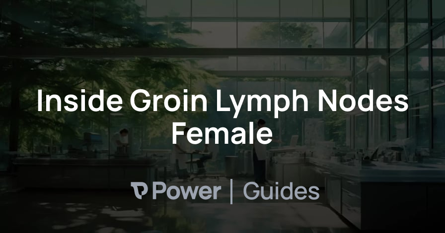 Header Image for Inside Groin Lymph Nodes Female