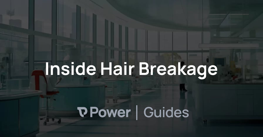 Header Image for Inside Hair Breakage