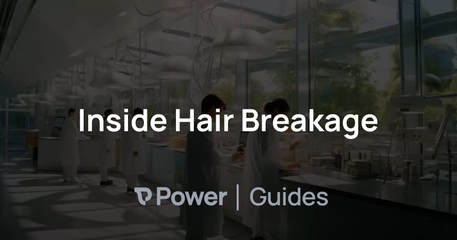 Header Image for Inside Hair Breakage