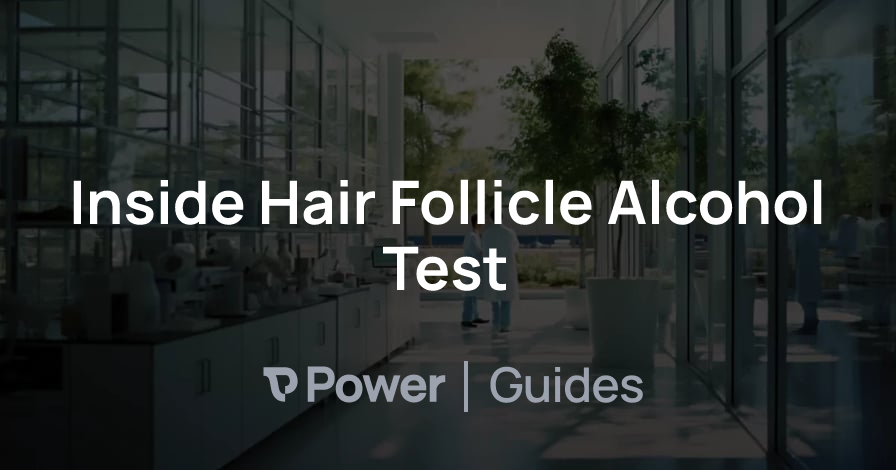 Header Image for Inside Hair Follicle Alcohol Test