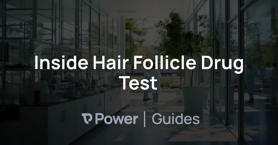 Header Image for Inside Hair Follicle Drug Test