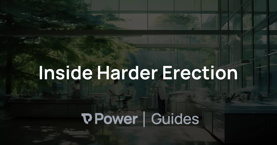 Header Image for Inside Harder Erection