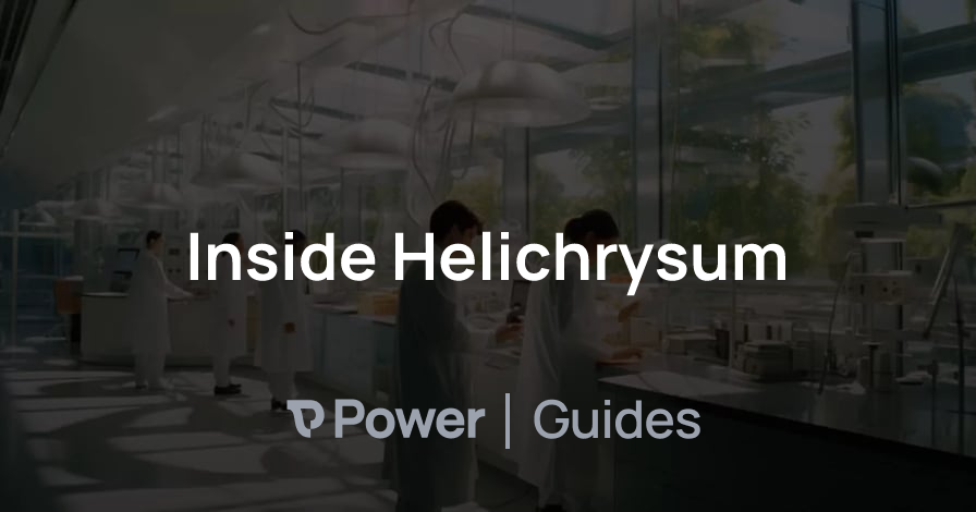 Header Image for Inside Helichrysum