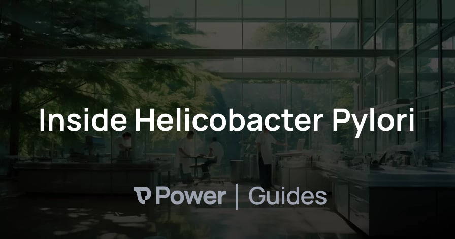 Header Image for Inside Helicobacter Pylori