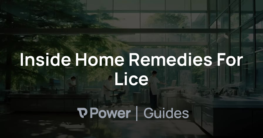 Header Image for Inside Home Remedies For Lice