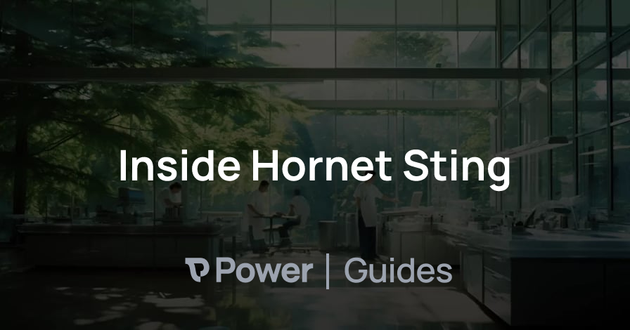 Header Image for Inside Hornet Sting