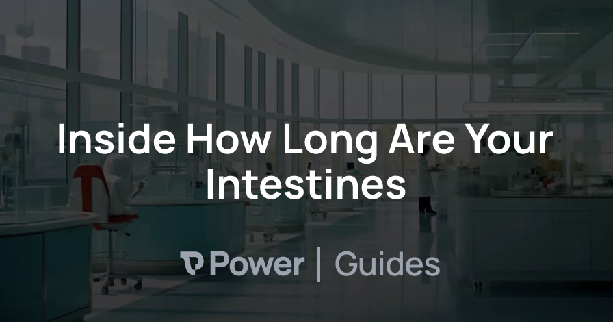 Header Image for Inside How Long Are Your Intestines