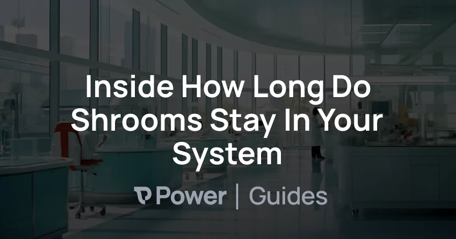 Header Image for Inside How Long Do Shrooms Stay In Your System