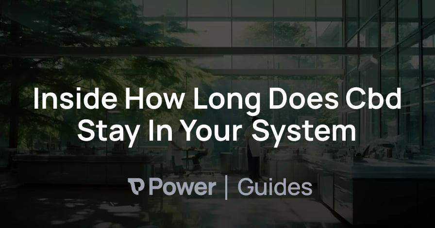 Header Image for Inside How Long Does Cbd Stay In Your System