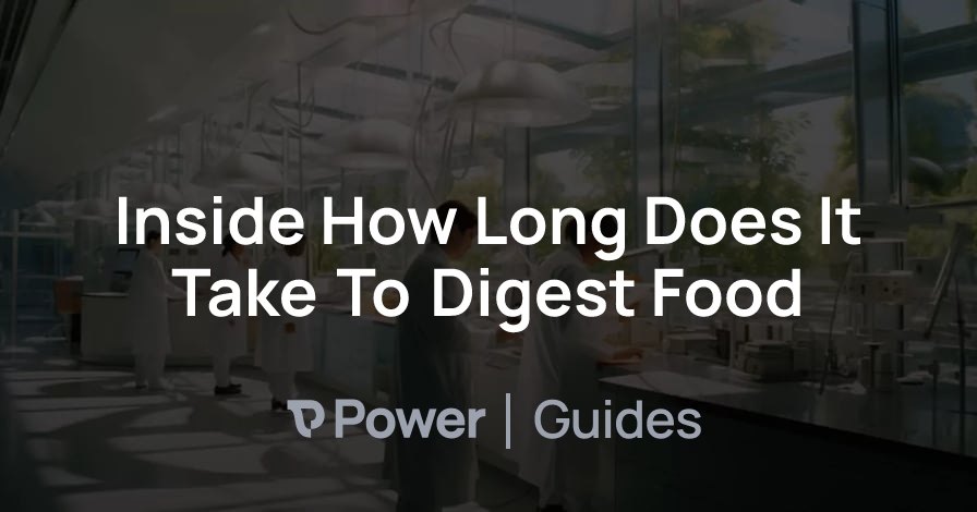 Header Image for Inside How Long Does It Take To Digest Food