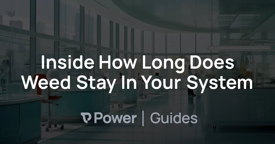 Header Image for Inside How Long Does Weed Stay In Your System