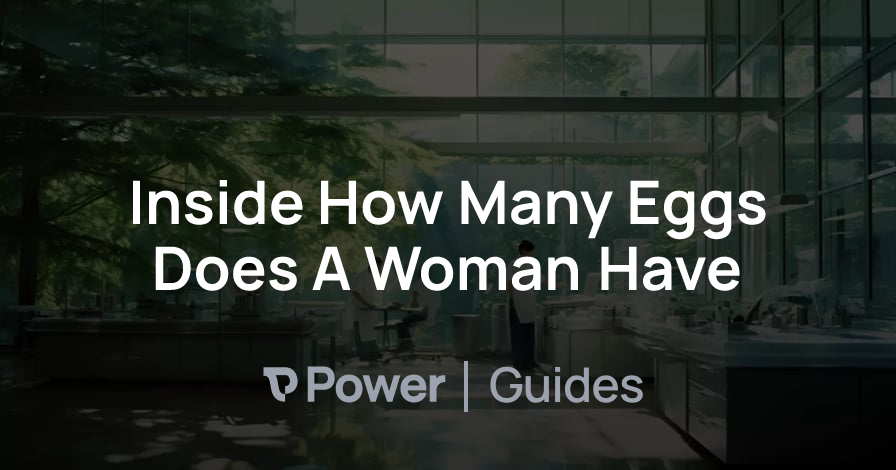 Header Image for Inside How Many Eggs Does A Woman Have