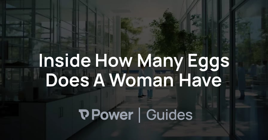 Header Image for Inside How Many Eggs Does A Woman Have