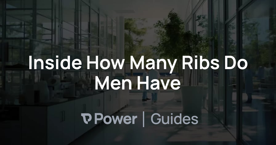 Header Image for Inside How Many Ribs Do Men Have