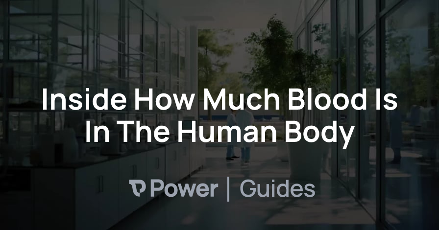 Header Image for Inside How Much Blood Is In The Human Body