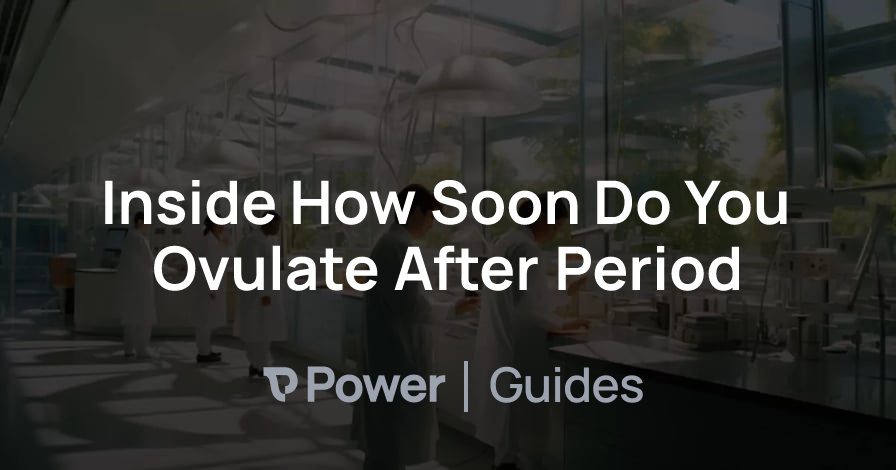 Header Image for Inside How Soon Do You Ovulate After Period