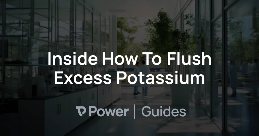 Header Image for Inside How To Flush Excess Potassium