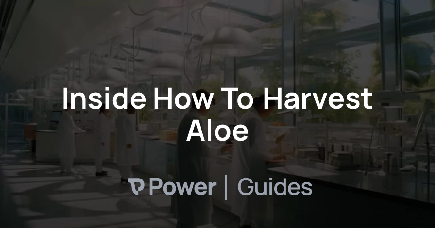 Header Image for Inside How To Harvest Aloe